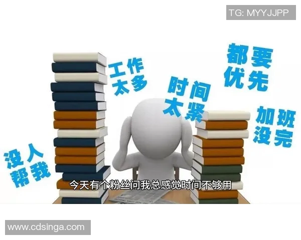 am和vs哪个更好选择适合自己的工具提升工作效率的关键分析